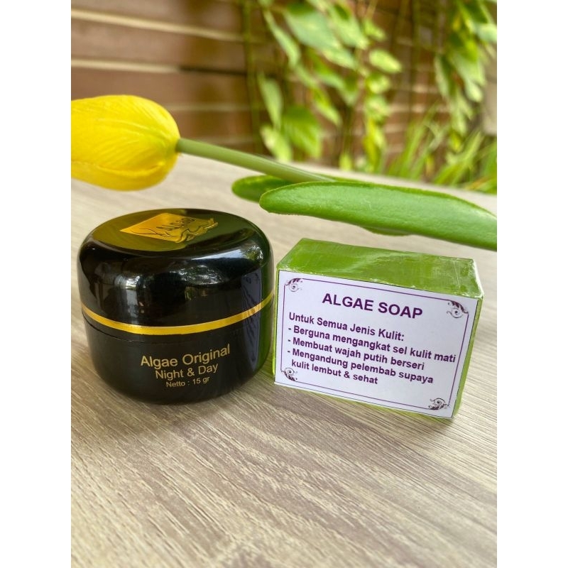 Cream Algae Herbal Brunai