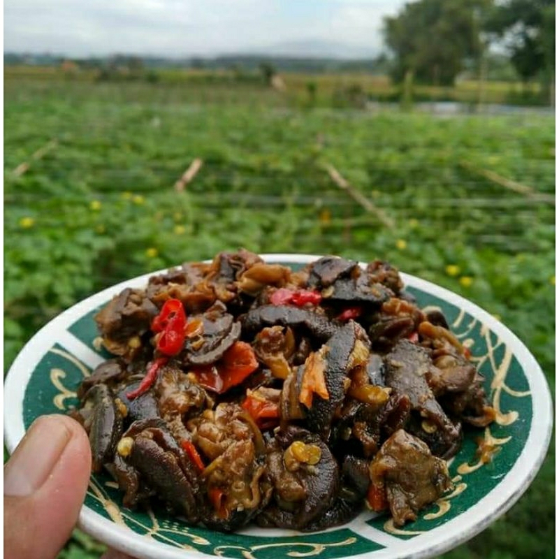 BEKICOT PEDAS MANIS