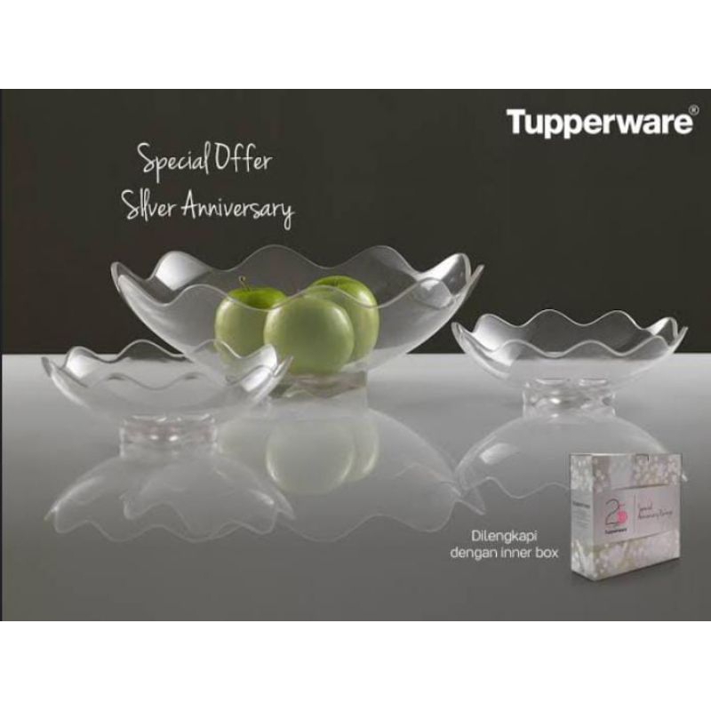 SMALL SHELL 1set (2pcs)