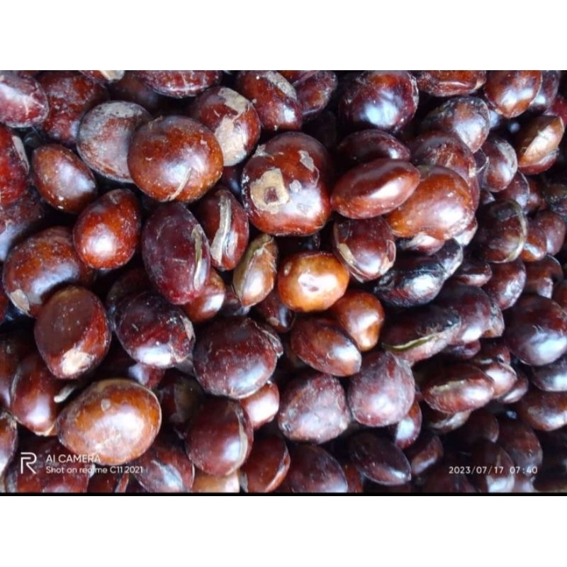 makanan jengkol