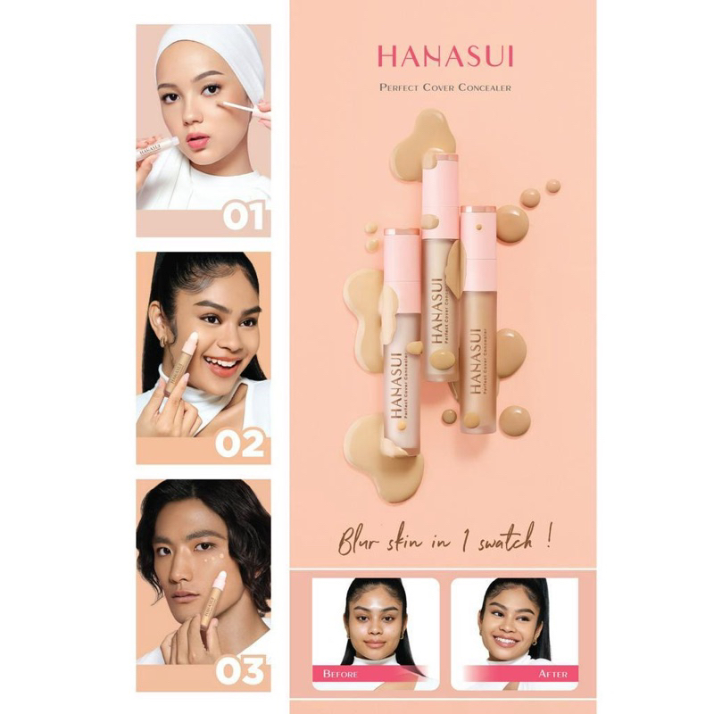 hanasui concealer 4.5g