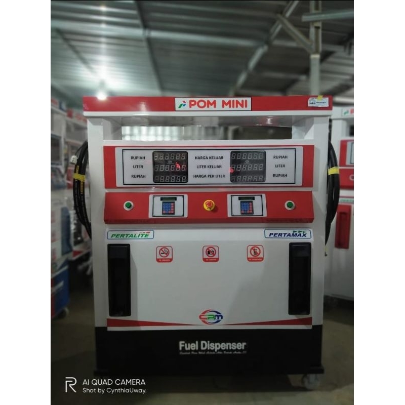 cpmcentralpommini