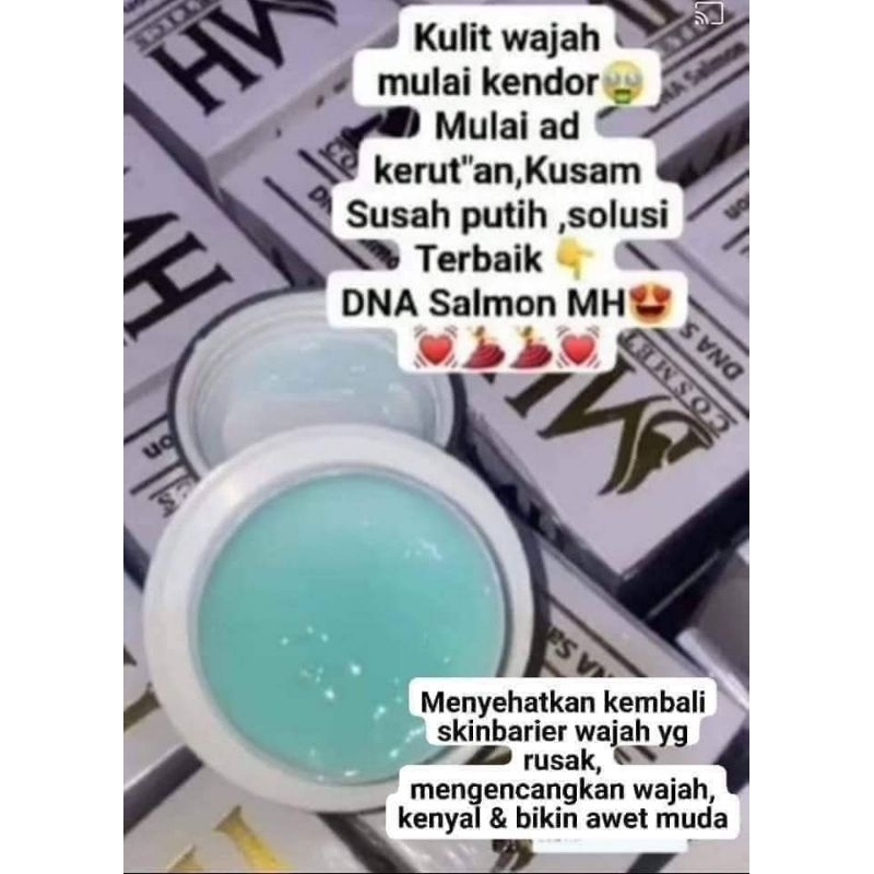 paketbasicDnaSalmon