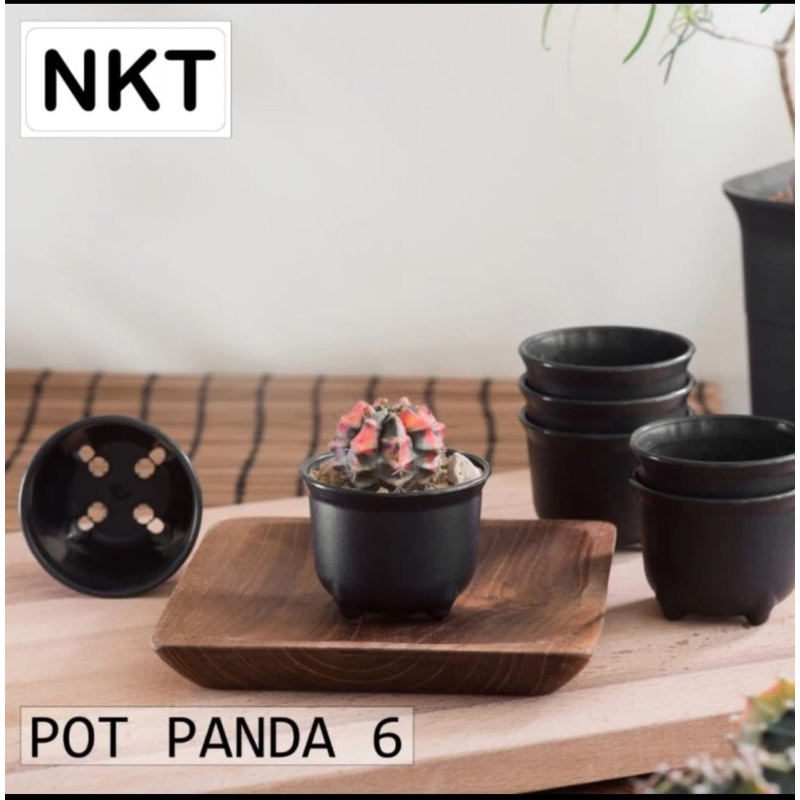 Pot Panda NKT 6cm