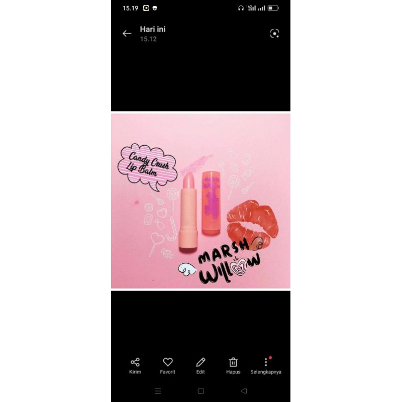 paket marswillow