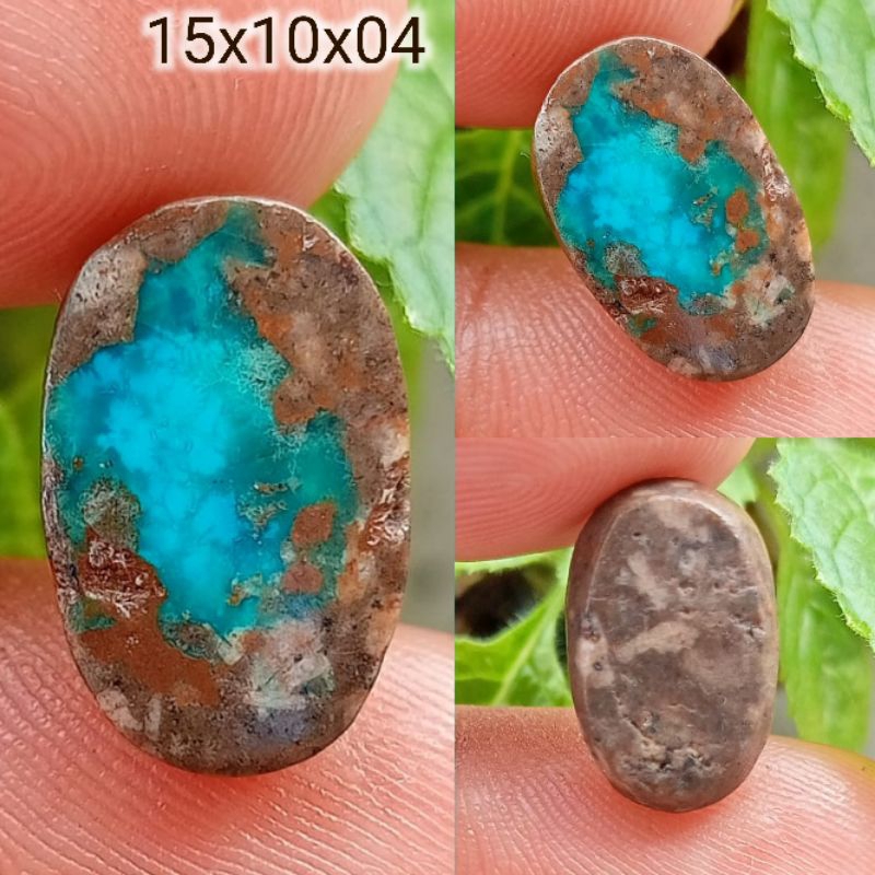 Pirus Persia Berkarakter