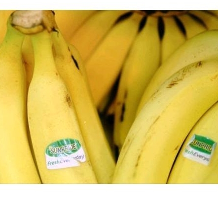 Pisang Sunpride