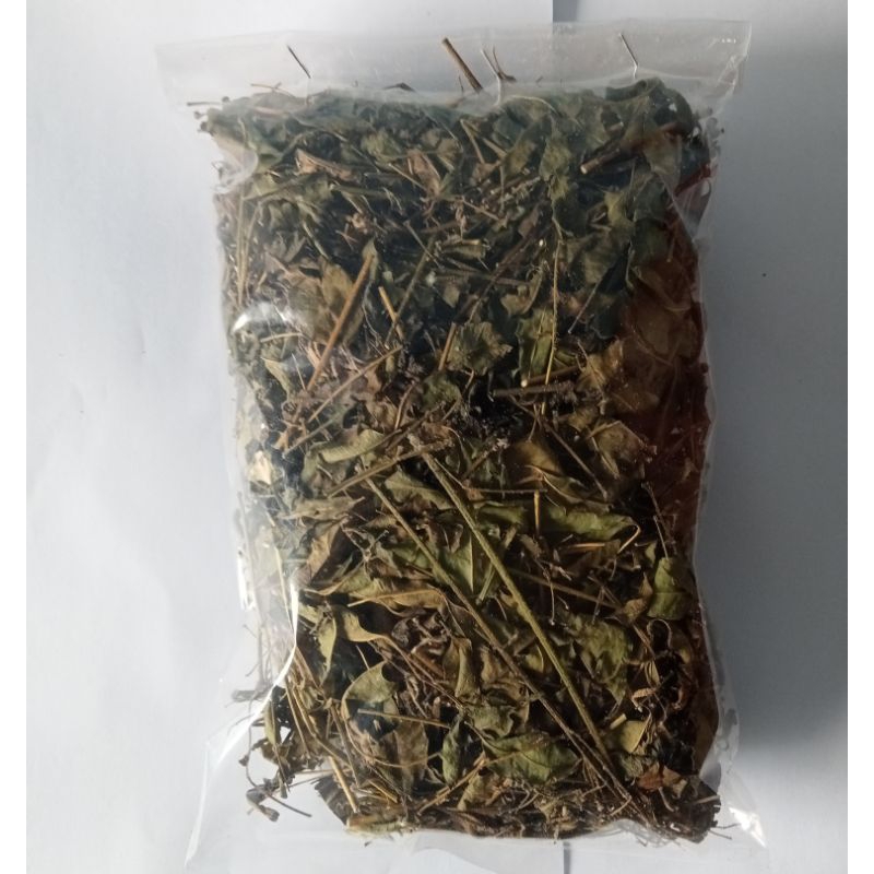 Daun mimba/ Daun Mindi kering 100 gr