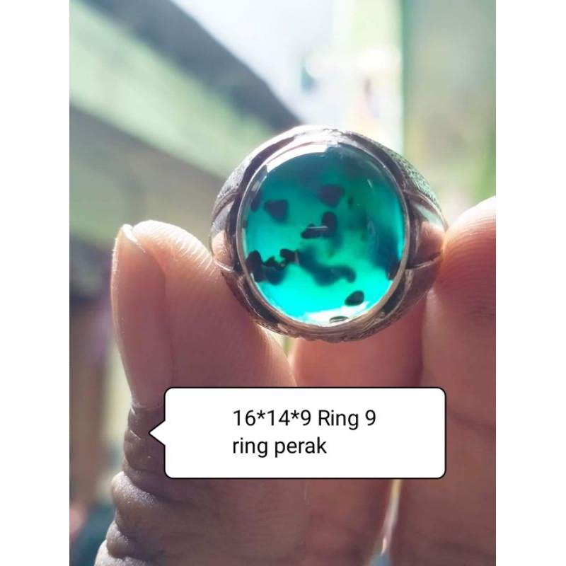 bacan totol dalmation