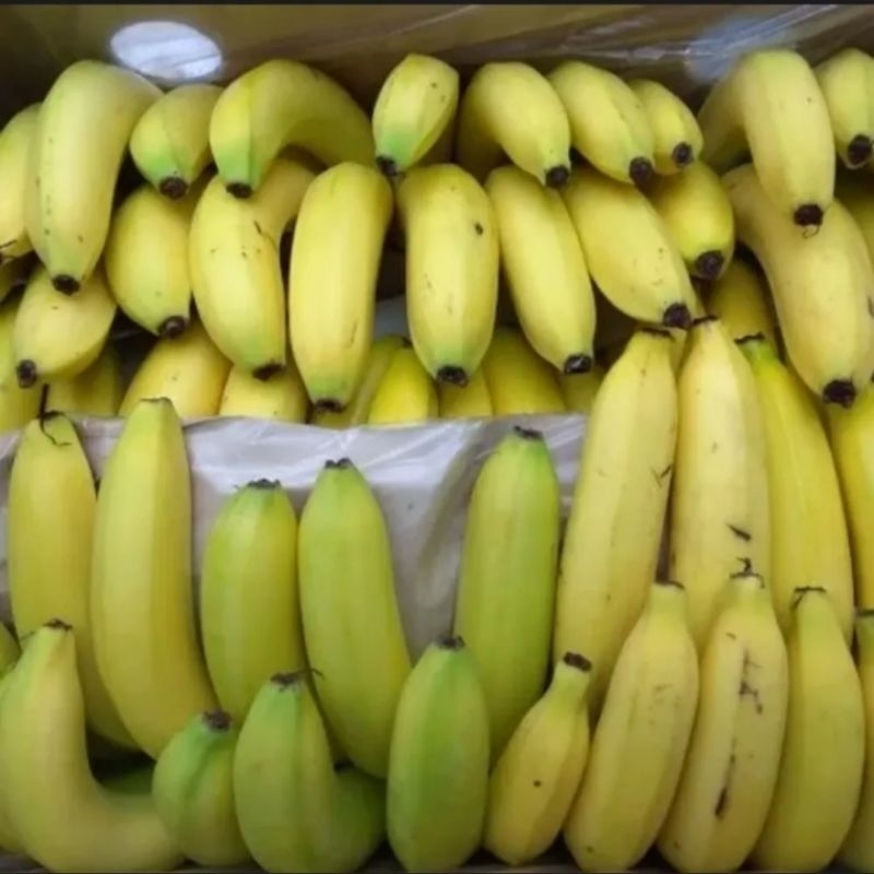 Pisang Sunpride