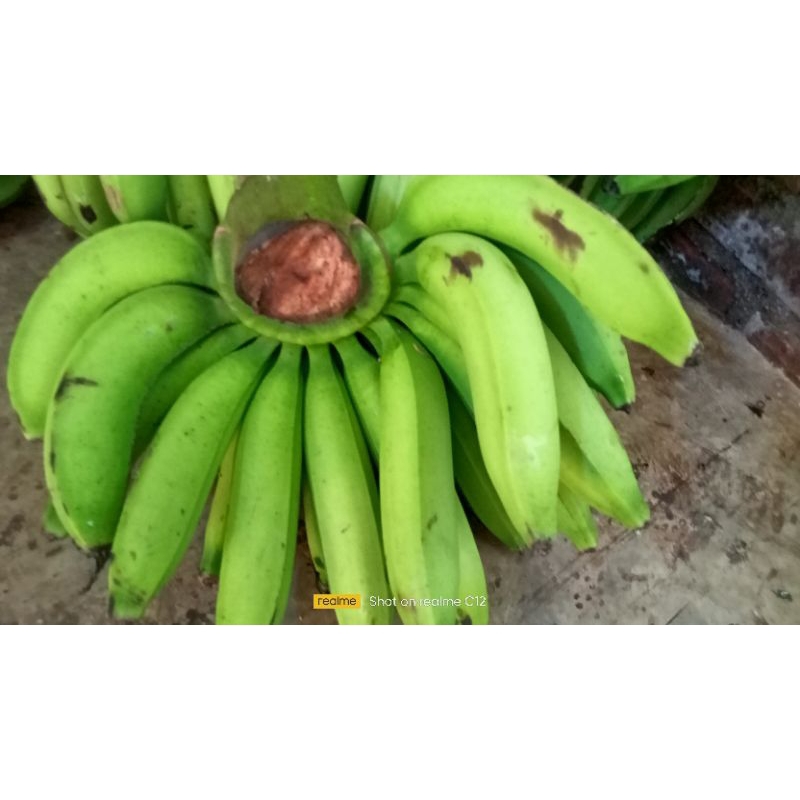 Pisang Ambon mentah