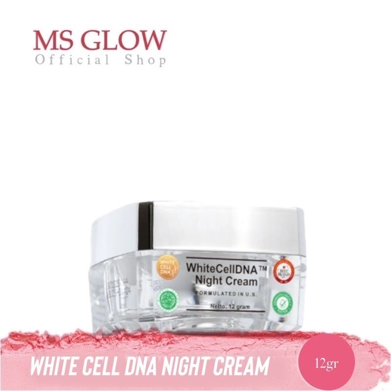 MSGLOW NIGHT CREAM