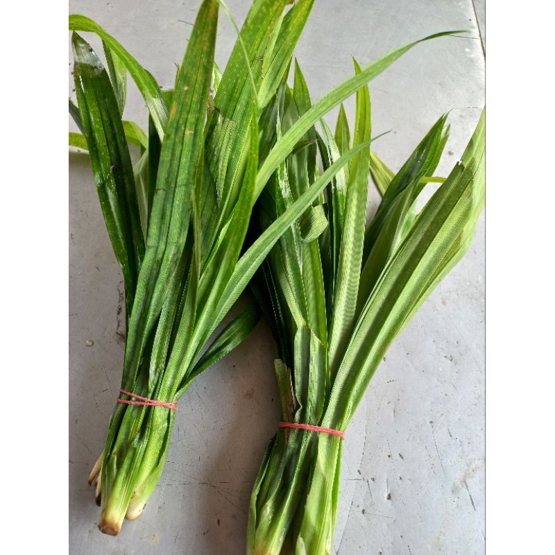 Pandan