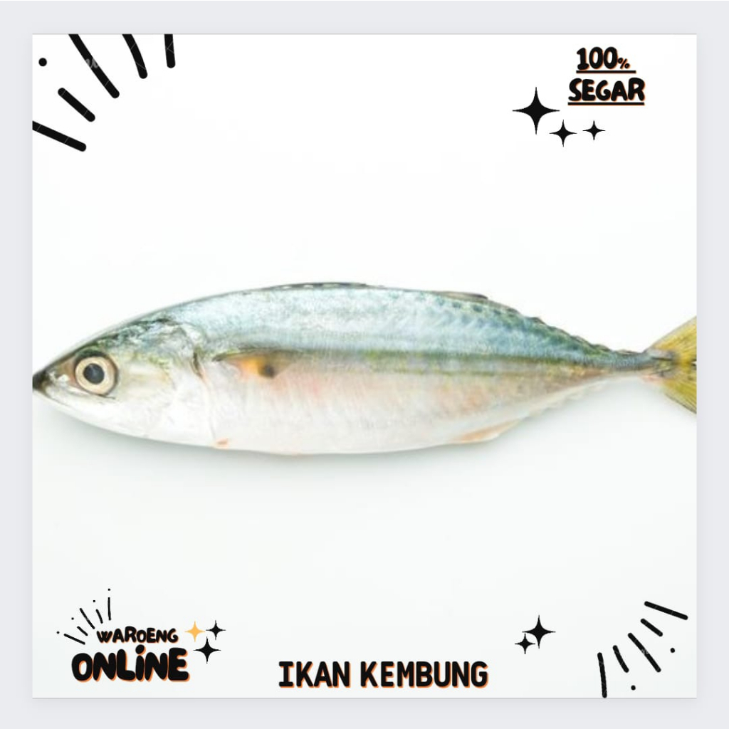 Ikan Kembung Segar 500gr