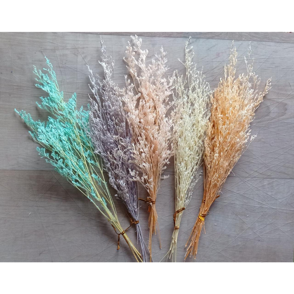 Bleached Caspea 5gram Per Ikat