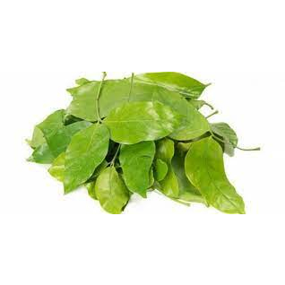 Daun Melinjo 100 Gram