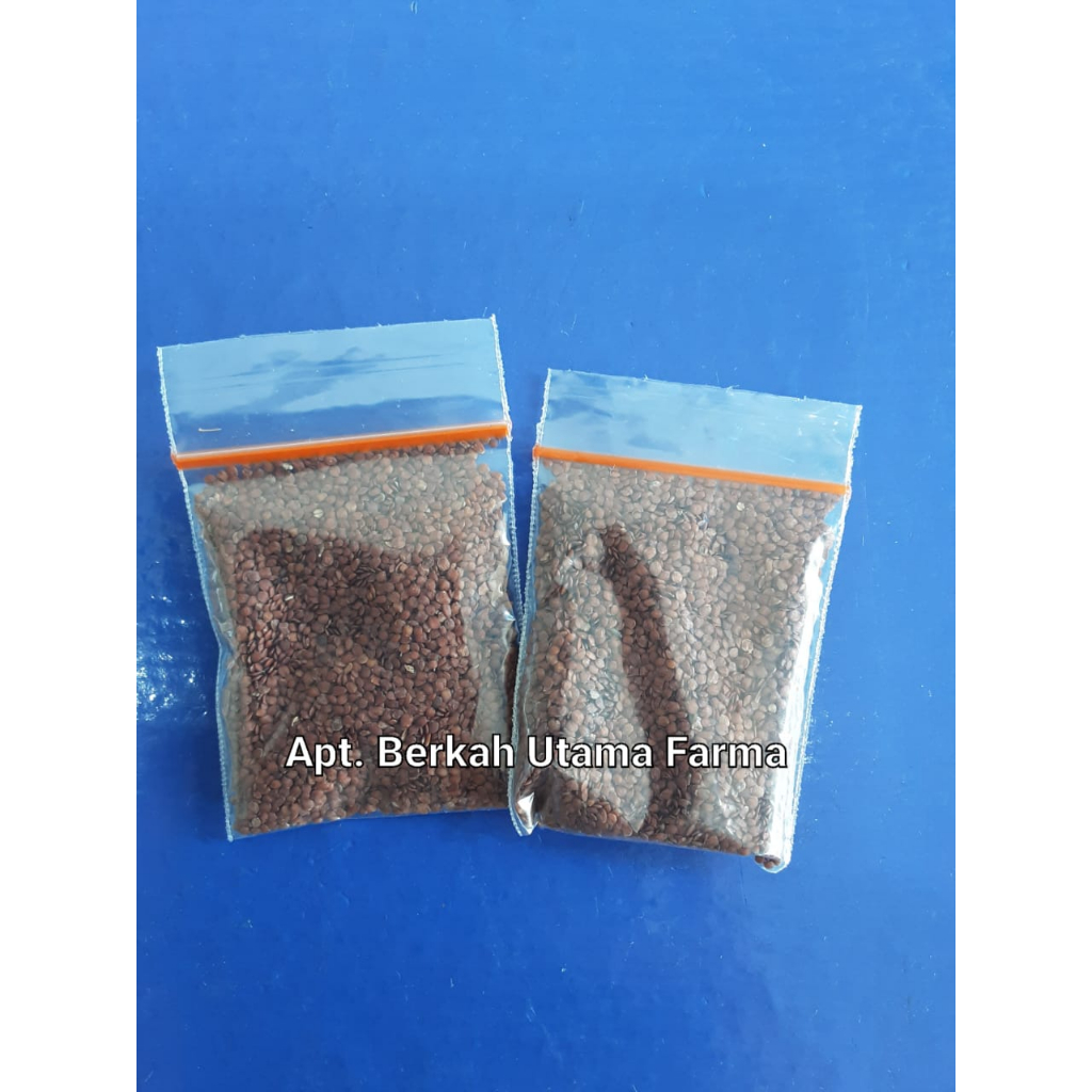 Telur Kodok per sachet