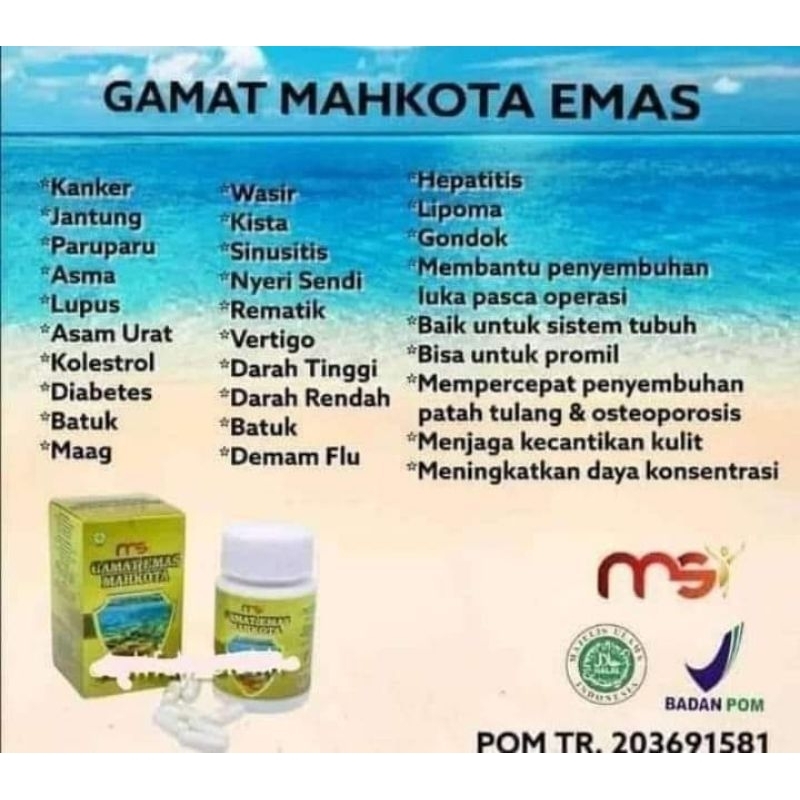 obat herbal GAMAT MSI