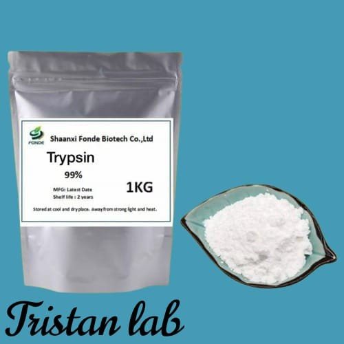 Enzim Tripsin 70 Gram / Enzyme Trypsin 70 Gram