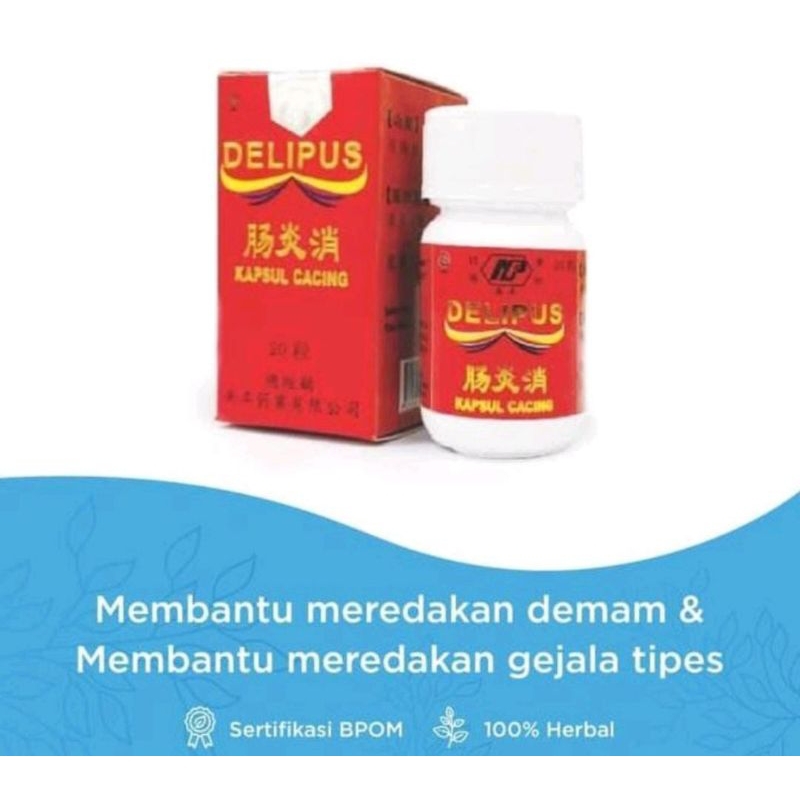 Delipus kapsul cacing