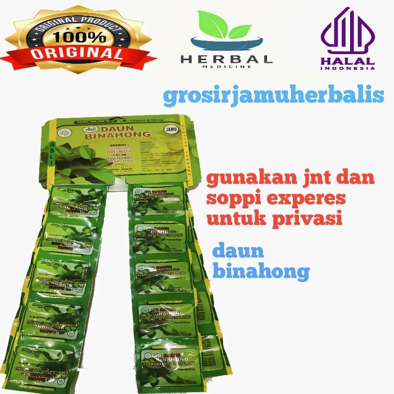 daun binahong hanger