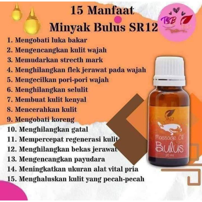 minyak bulus SR12