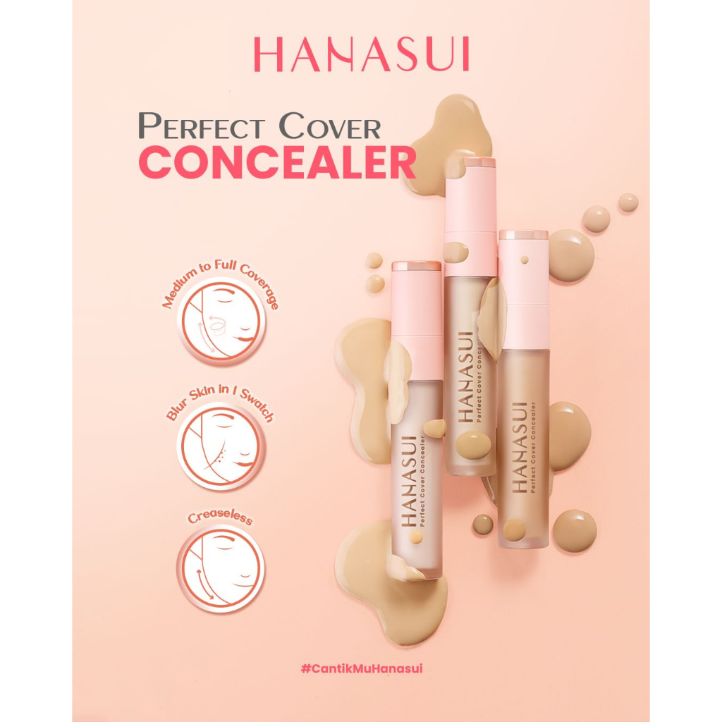 HANASUI PERFECT COVER CONCEALER