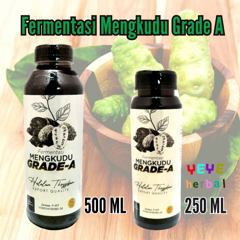 Fermentasi Mengkudu Grade A