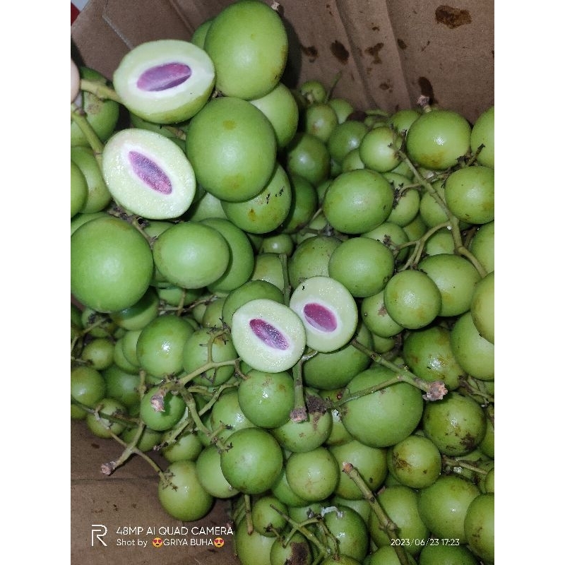 Gandaria/jatake 250gram