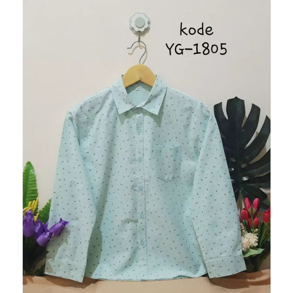 Kemeja Basic (YG-1805)