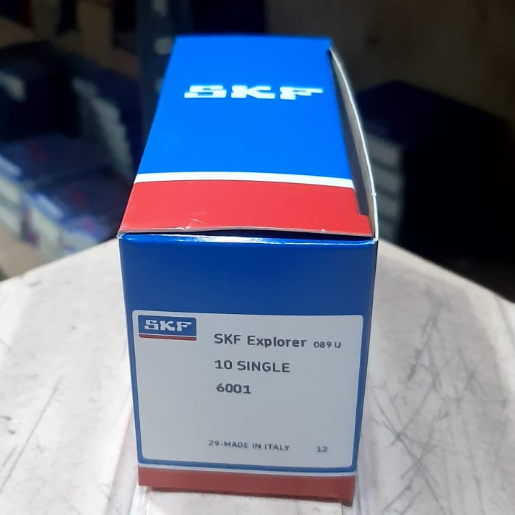 6001 SKF