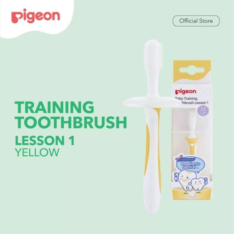 Pigeon Training Toothbrush Lesson 1 2 & 3