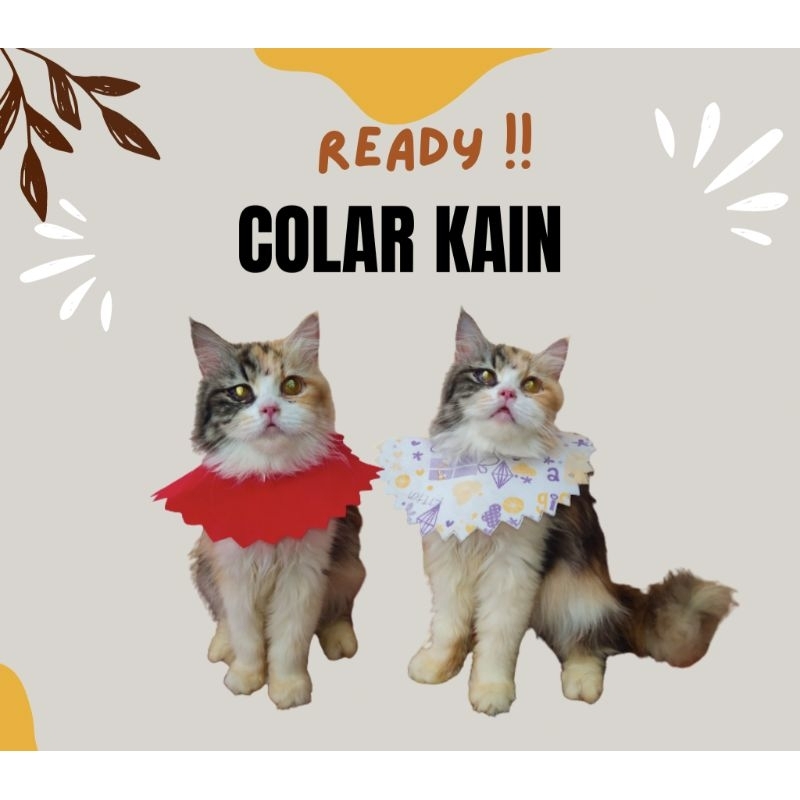 COLAR KAIN LEHER