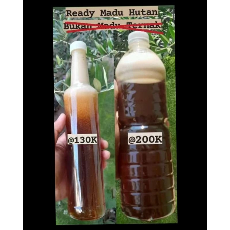Madu Hutan