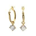 Anting Anti Karat