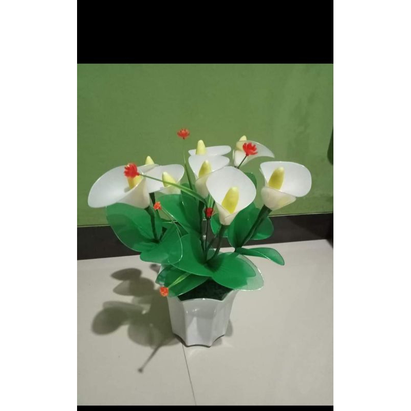 bunga stocking