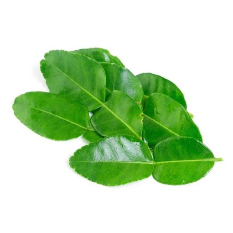 Daun Jeruk