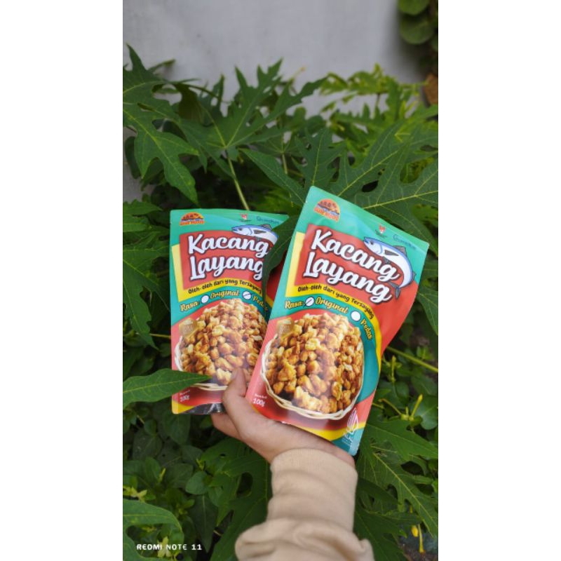 kacang layang
