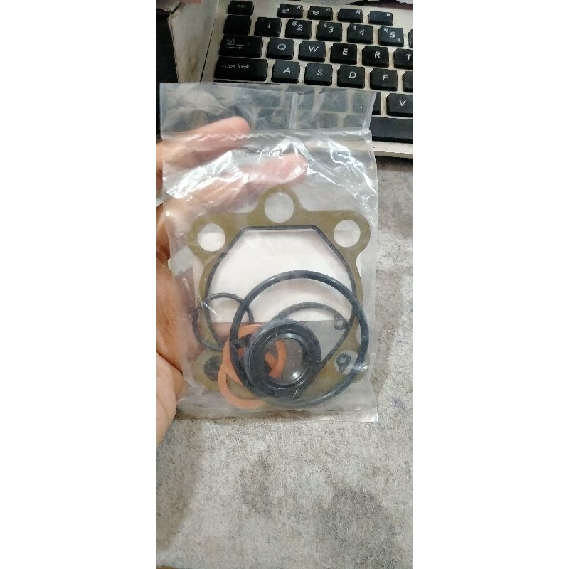 seal pompa power steering terrano original