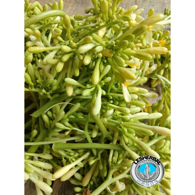 bunga pepaya segar 500gram