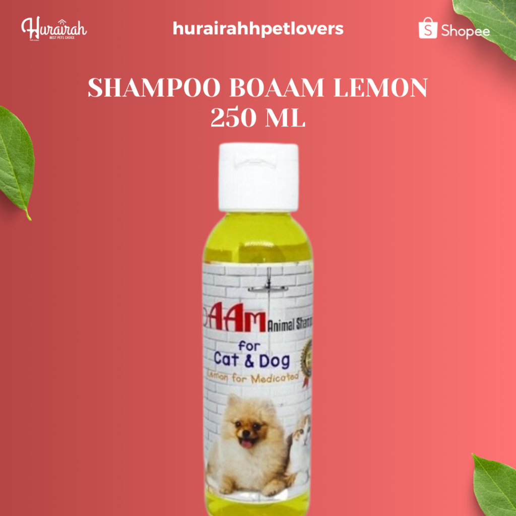 SHAMPOO BOAAM LEMON 250 ML