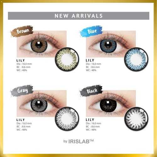 Soflens Lily Normal Diameter 16mm By Irishlab