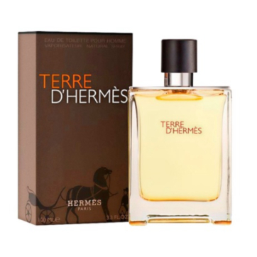 PARFUM PRIA MURAH TERREE 100 ML