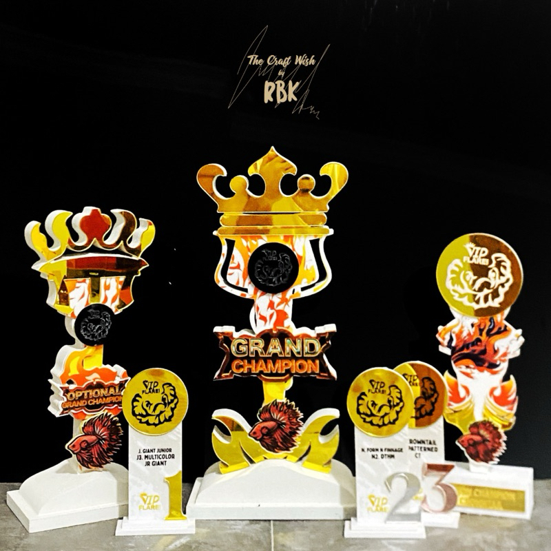 Conceptual Trophy Awards