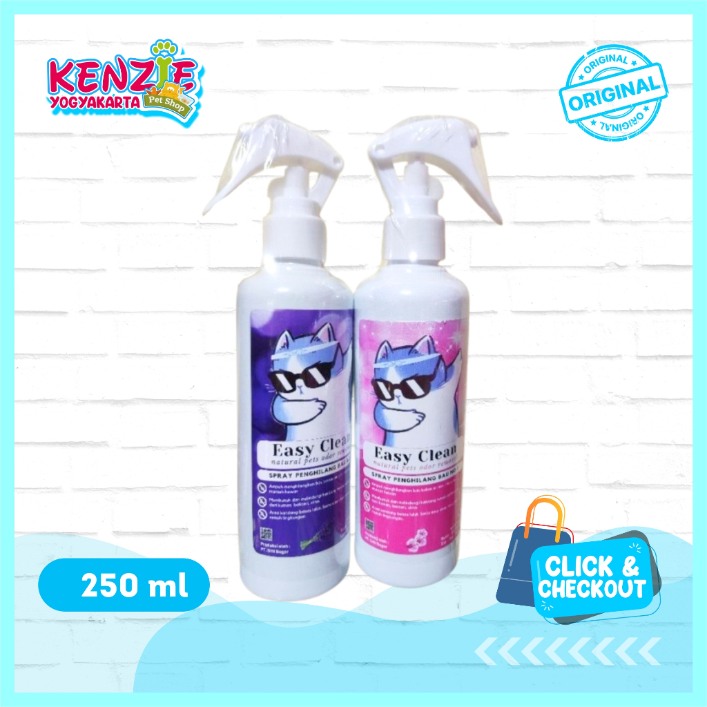 EASY CLEAN 250 ML