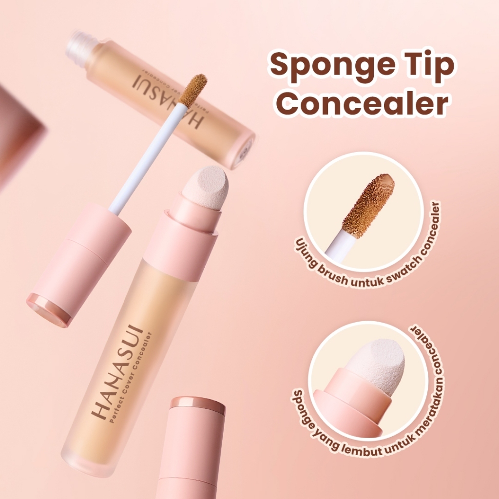 Hanasui Perfect Cover Concealer