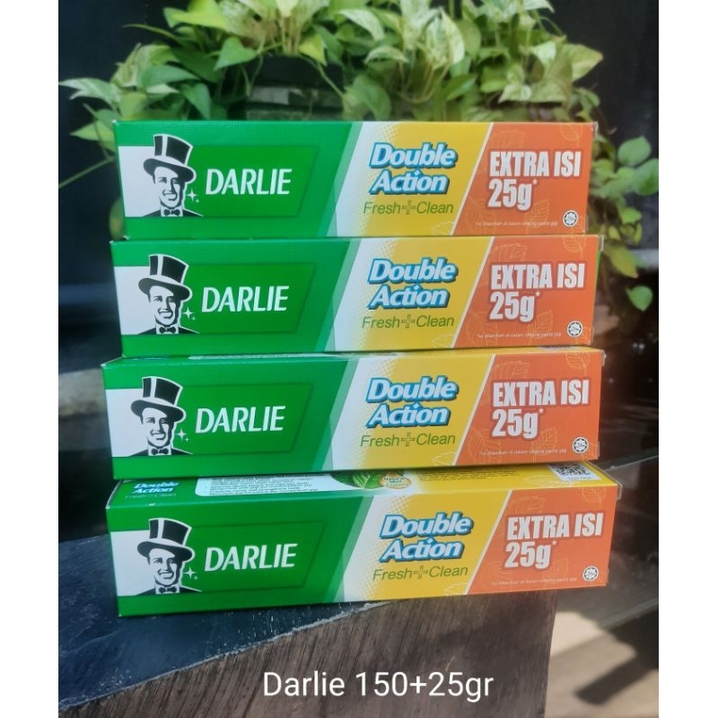 Darlie 150 + 25gr