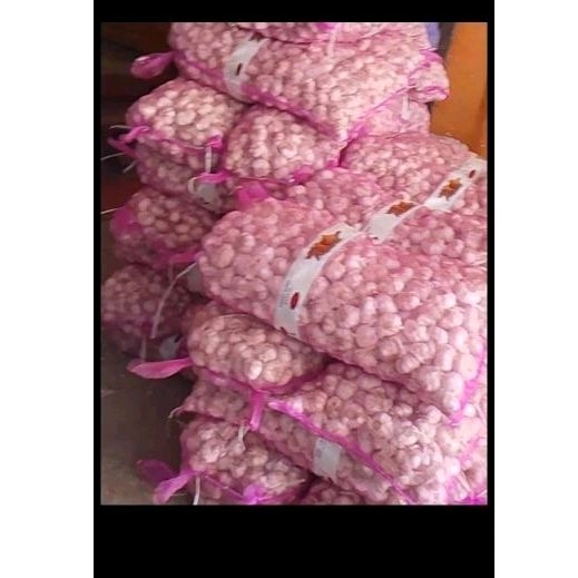 bawang putih