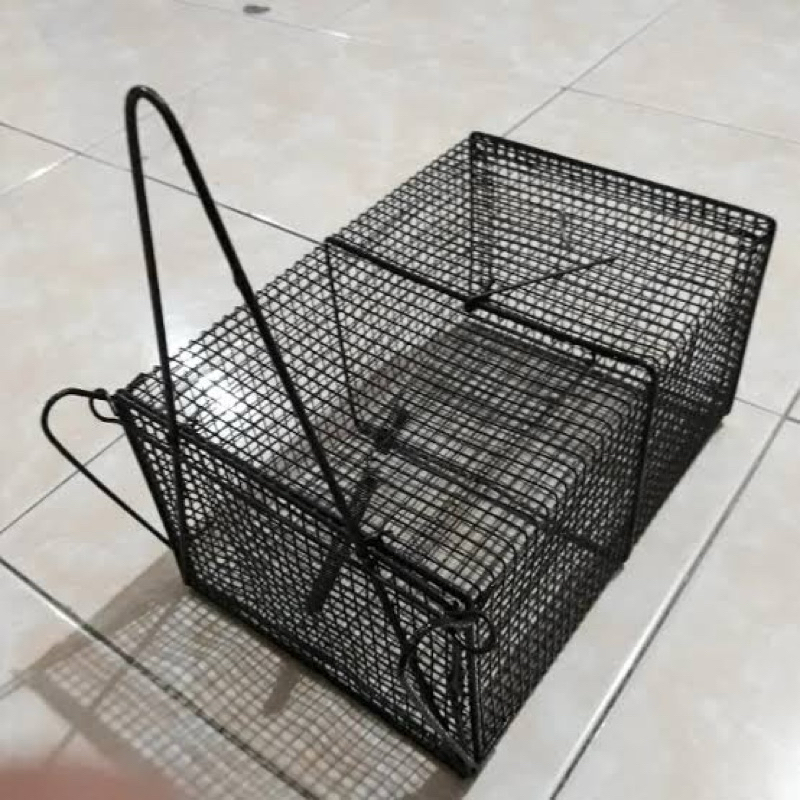 JEBAKAN TIKUS / PERANGKAP TIKUS