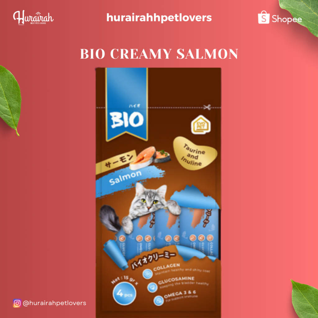 BIO CREAMY SALMON